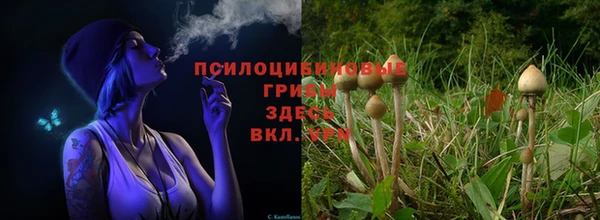 марихуана Балахна